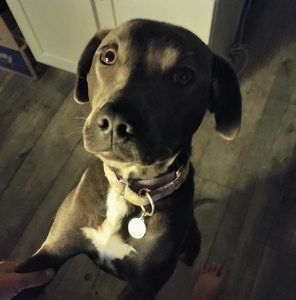 Meet your Posher, Ryan